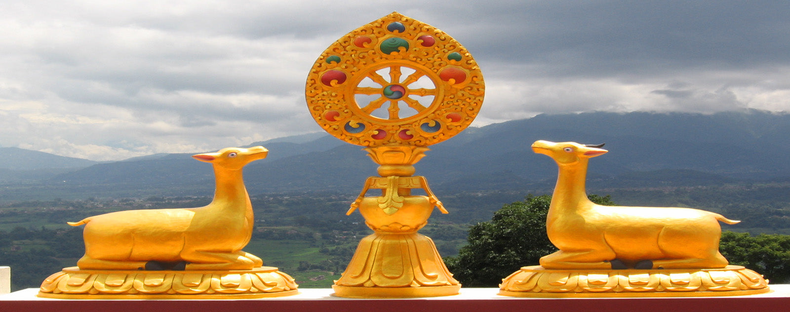 La roue du Dharma : Symbole, histoire, signification