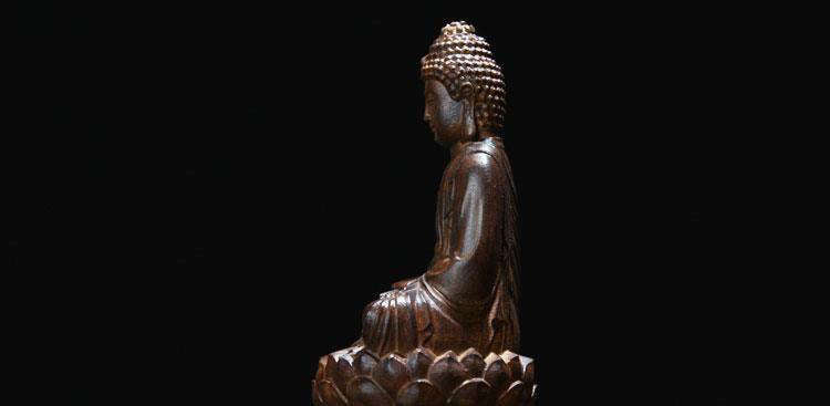 Statue Bouddha<br> Shakyamuni assis Aloès naturel - [variant_title]