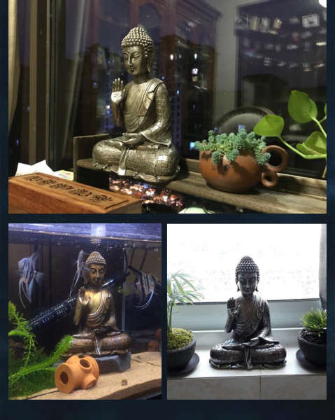 Statue Bouddha<br> Shakyamuni protecteur - [variant_title]