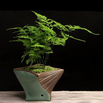 Pot de fleur Bouddha <br> Fait Main