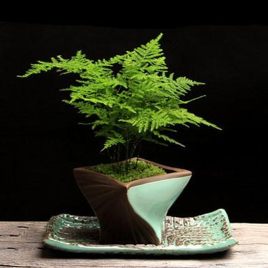 Buddha flower pot <br> Handmade