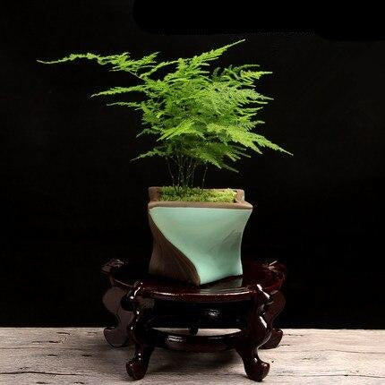 Pot de fleur Bouddha <br> Fait Main