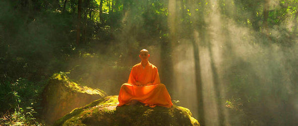 Habitude Bouddhiste 1 Univers Bouddha