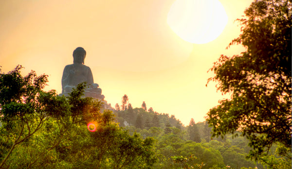Habitude Bouddhiste Univers Bouddha 1
