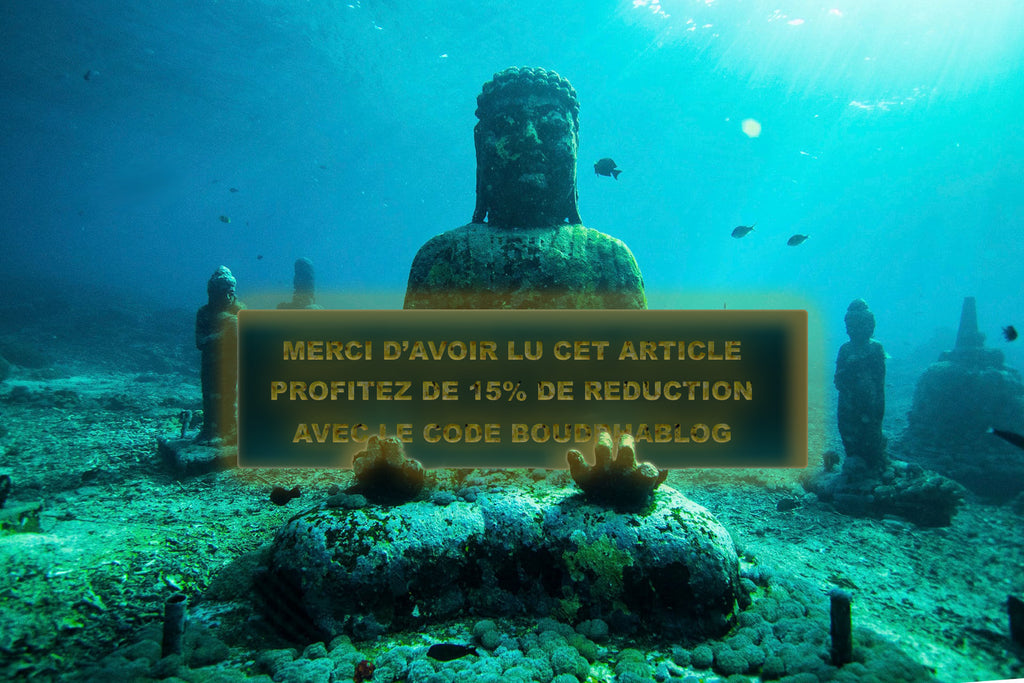 Code promotionnel Univers Bouddha