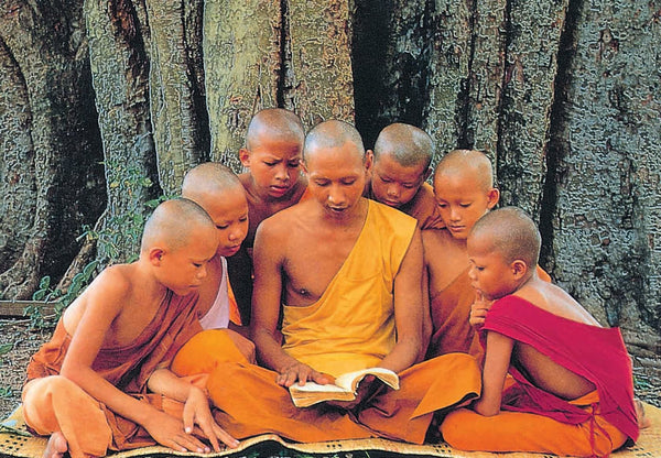Habitude Bouddhiste Univers Bouddha 4